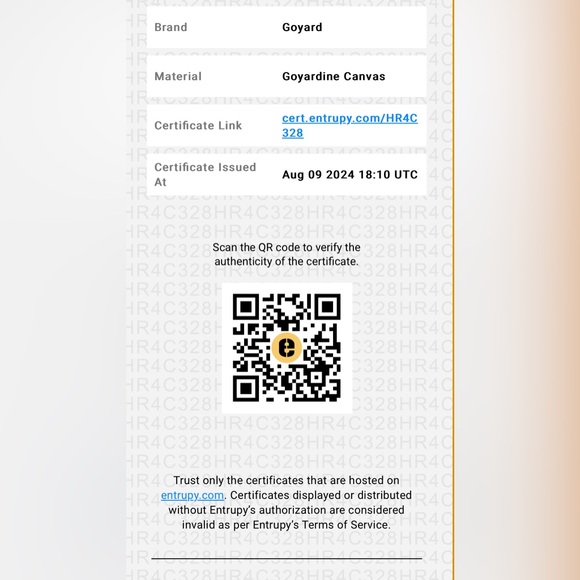 Rare collector Limited edition Goyard Saigón Mini structure Silver Cal - Picture 16 of 16